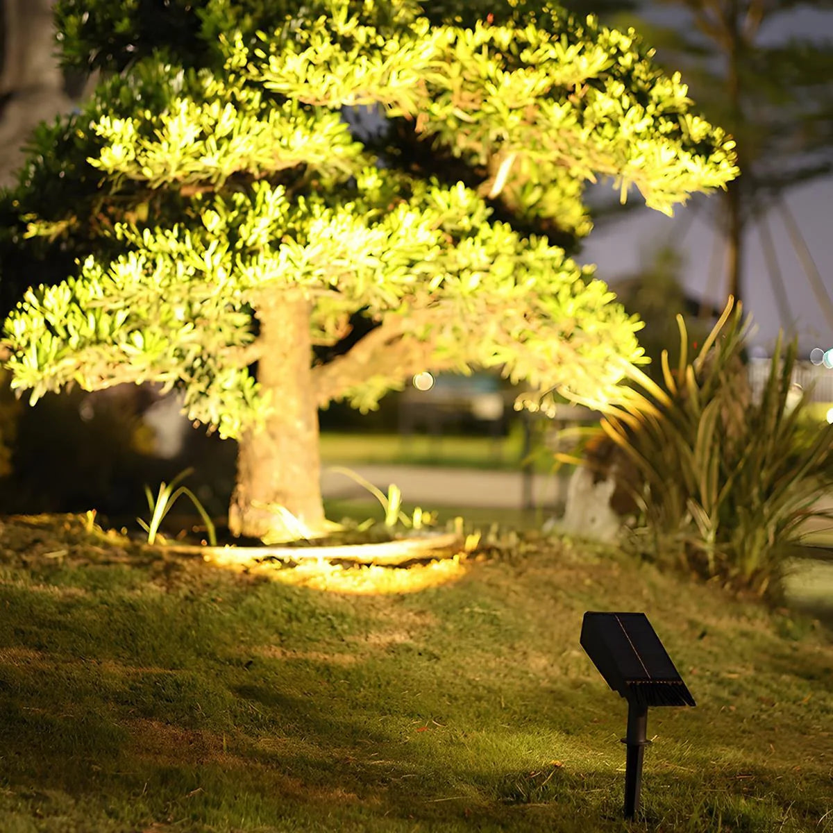 Solar Spotlight Adjustable Zoom IP65 Weatherproof Ground Stake