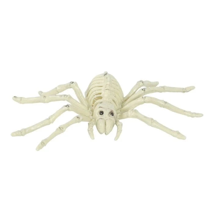 Spider Decoration Realistic Skeleton PVC Tabletop & Hanging