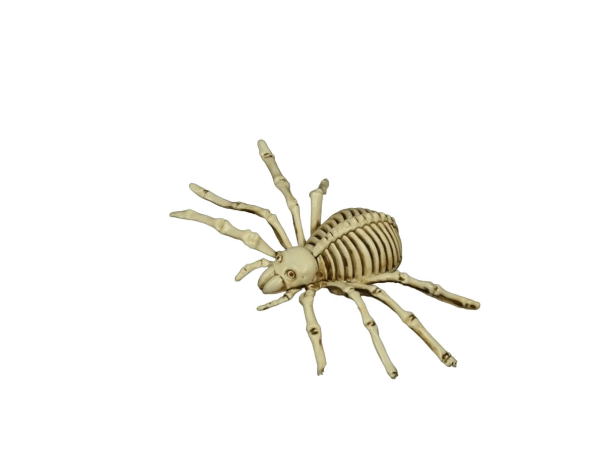 Spider Decoration Realistic Skeleton PVC Tabletop & Hanging
