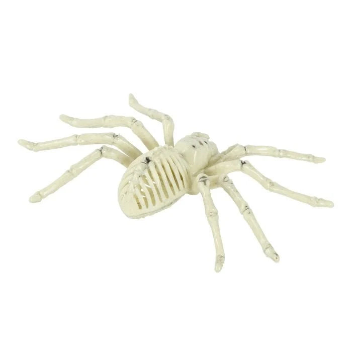 Spider Decoration Realistic Skeleton PVC Tabletop & Hanging