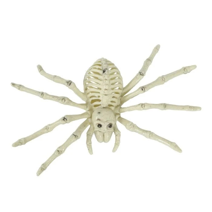 Spider Decoration Realistic Skeleton PVC Tabletop & Hanging