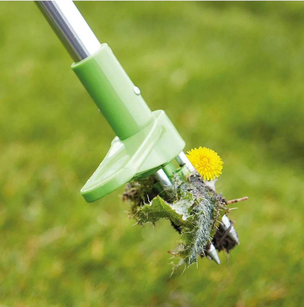 Standing Weed Puller 36 Inch Three-Pronged Spring-Loaded Release