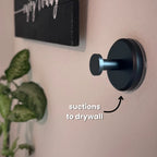 Suction Hook Tool-Free Reusable Holds 15 Lbs
