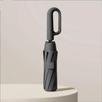 Umbrella Automatic Wind-Resistant Compact Travel Size