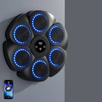Wall Mounted Boxing Target Music Sync LED Rechargeable
