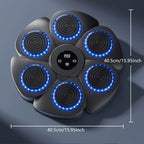 Wall Mounted Boxing Target Music Sync LED Rechargeable