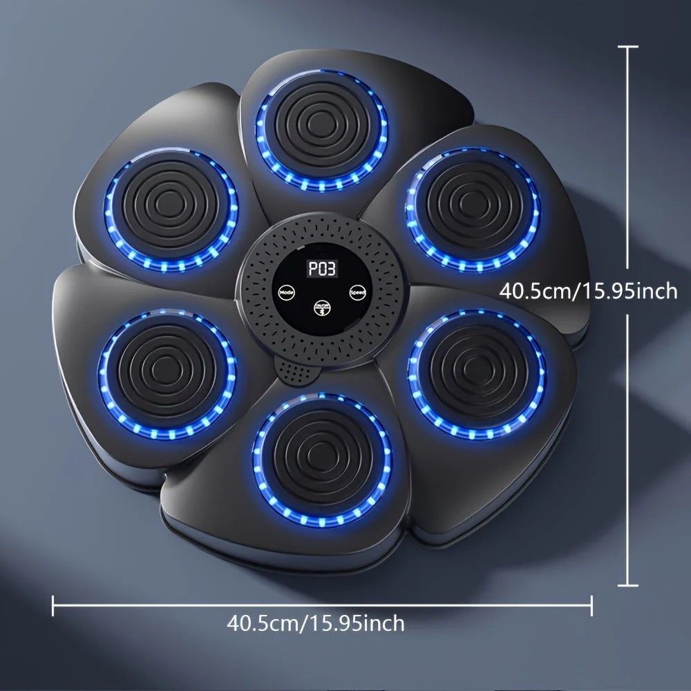 Wall Mounted Boxing Target Music Sync LED Rechargeable