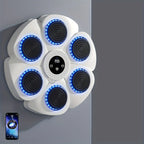 Wall Mounted Boxing Target Music Sync LED Rechargeable