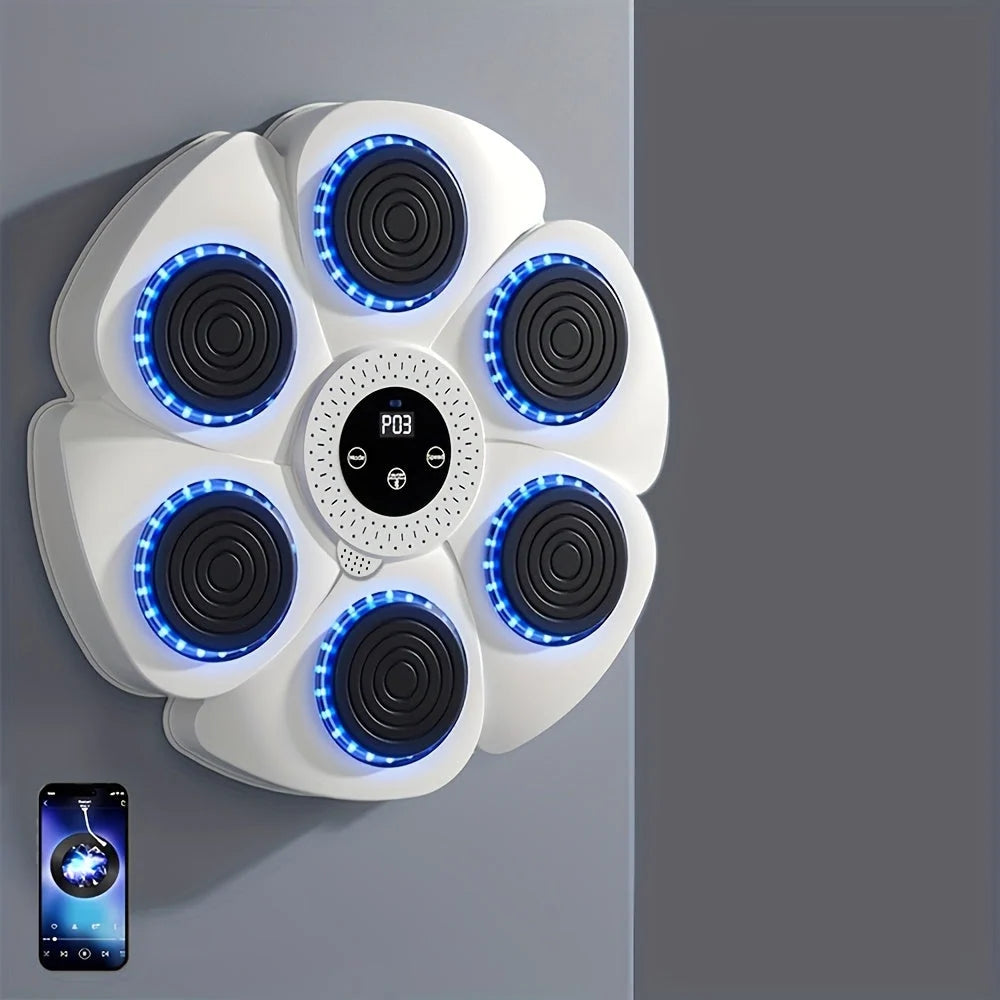 Wall Mounted Boxing Target Music Sync LED Rechargeable