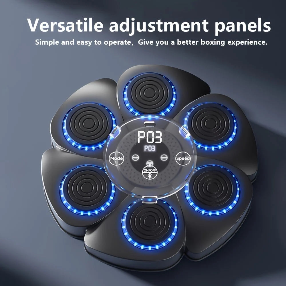 Wall Mounted Boxing Target Music Sync LED Rechargeable